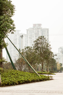 城市公园的静谧绿植景观