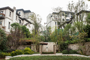 中式庭院景观 雅致建筑