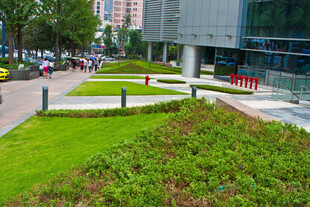 城市中绿意盎然的休憩区域