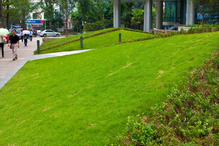 城市中绿意盎然的休闲步道