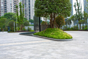 城市中一角的绿植景观
