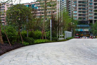 小区景观步道与绿植建筑