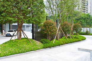 城市绿意盎然的景观步道