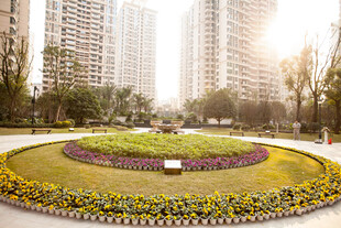 城市中的圆形花坛景观