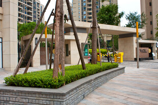 小区内精致绿植景观