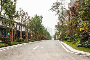 宁静社区中的宽阔林荫道路