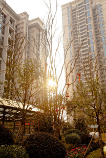 阳光照耀下的城市住宅区