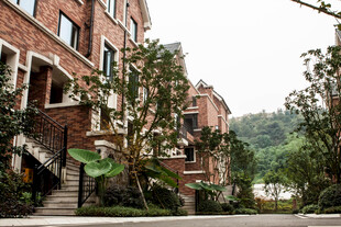 红砖住宅旁的繁茂绿植景观