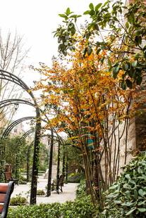 秋日公园拱形廊架景致