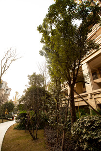优雅园林式住宅景观