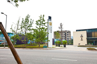 城市街角的建筑与绿植