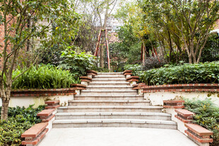 花园中的石阶景观