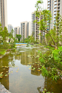 城市河畔的静谧绿色景观