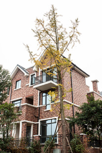 红砖别墅旁的挺拔树木