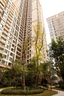 高层住宅旁的绿化景观