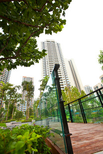 城市中绿植环绕的步道景观