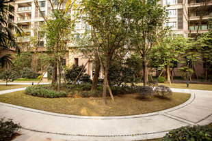 小区内绿意盎然的景观