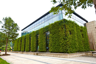 绿植覆盖的现代建筑外观