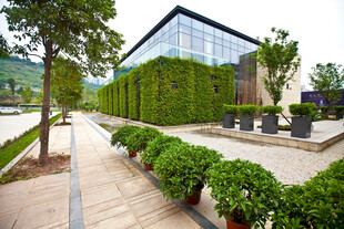 现代绿植环绕的户外建筑景观