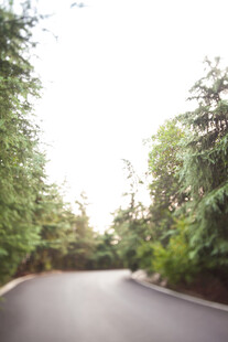 林间静谧公路