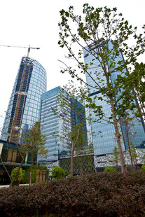 城市中高楼与绿植景观