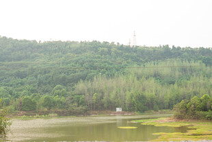 山林环绕的宁静湖泊