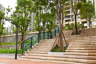 城市中绿意盎然的阶梯步道