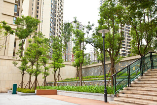 城市中绿植环绕的阶梯步道