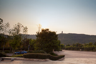 夕阳下的宁静道路景观