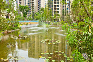 小区内的静谧水景花园
