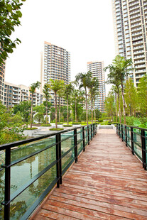 城市中木质观景步道景观