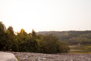 黄昏下的林间道路与旷野