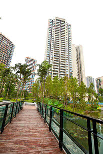 城市步道旁的高楼与绿植