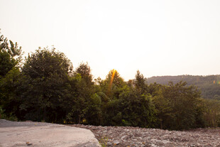 黄昏下的树林与开阔地