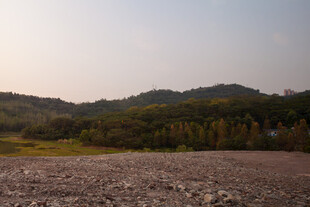田野山林间的自然景致