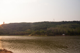 夕阳下的宁静湖畔风光