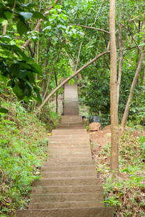 林间幽静木质步道