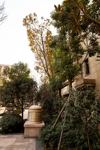 庭院绿植环绕精致景致