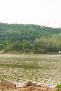 宁静湖畔自然风光