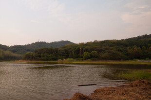 宁静湖畔自然风光