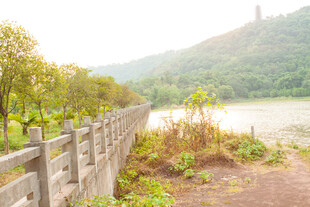 河畔木栏旁的自然风光