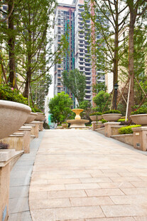 城市林荫步道与高层景观