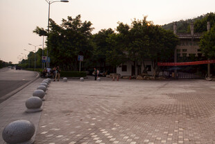 城市街道旁的宁静场景
