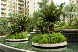 小区内精致水景绿植景观