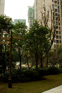 城市中绿意盎然的园林景观