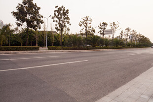 宽阔道路旁的葱郁树木