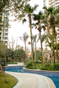 小区内的泳池与绿植景观