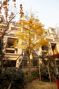 秋日温馨住宅小区景观