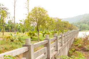 乡村河畔木栅栏风景