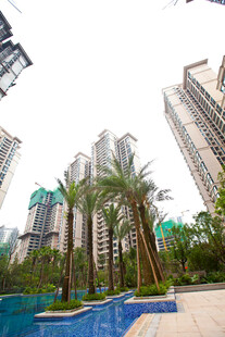 现代小区泳池与高楼景观